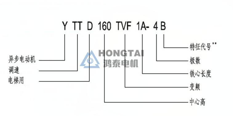 YTTD型號說明.JPG